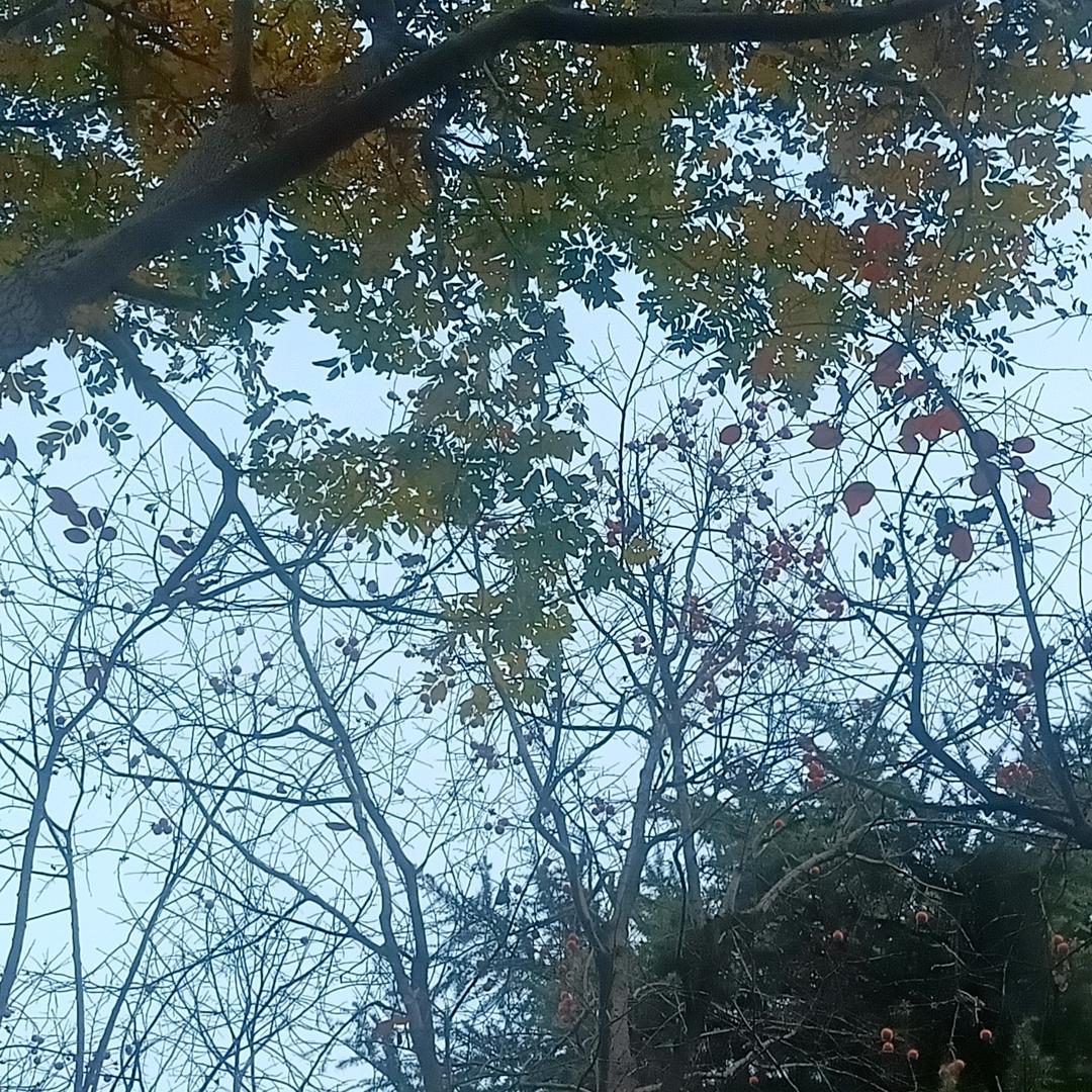 路遥