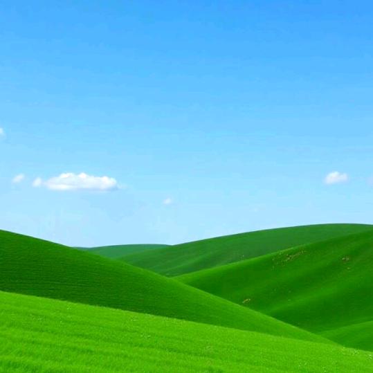 我心永恒