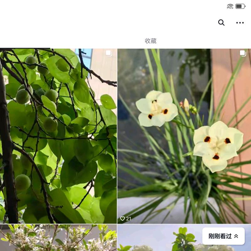 芳潮