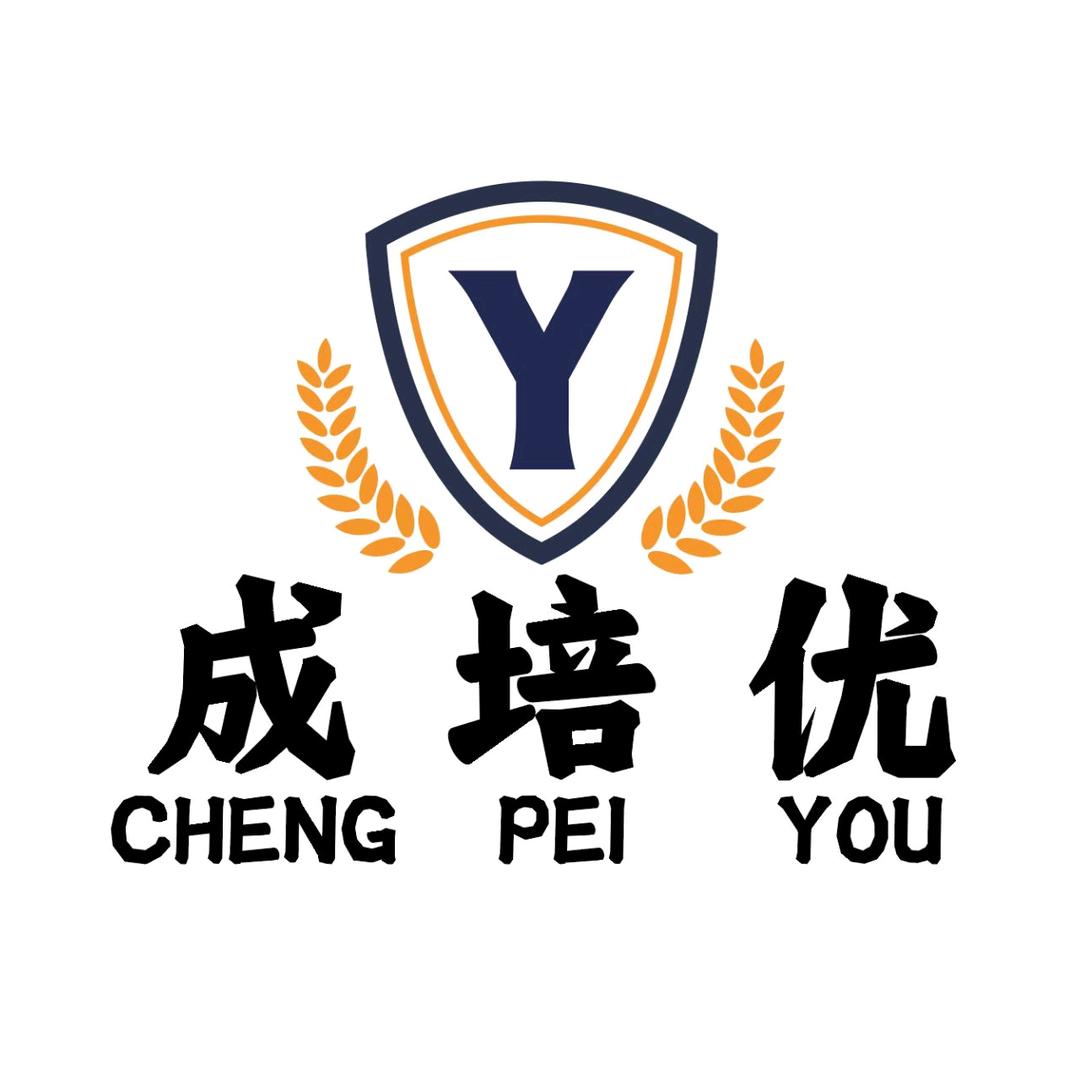 天津升学大澎老师