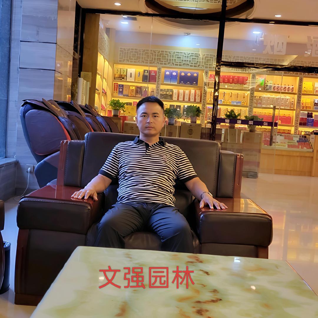 望都塔桧、塔柏、圆柏-于文强（尚鑫园林）