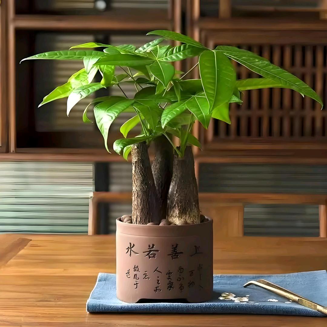 错把陈醋当成墨，写尽半生纸上酸
