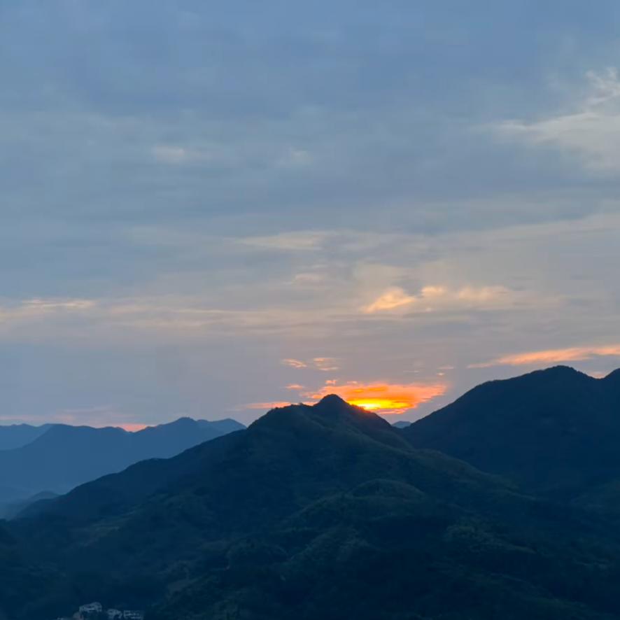 香味记忆