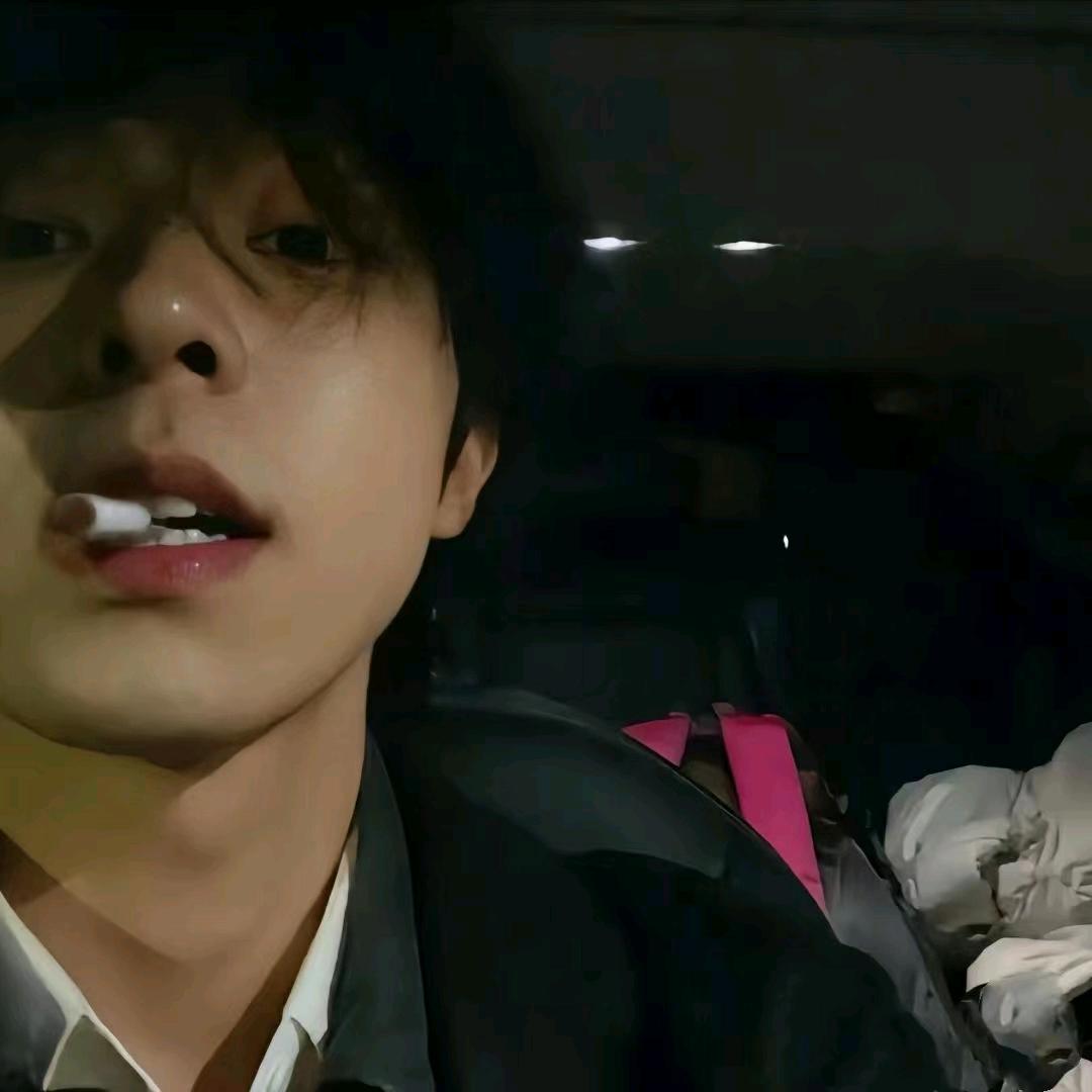 庆庆(三角洲行动)