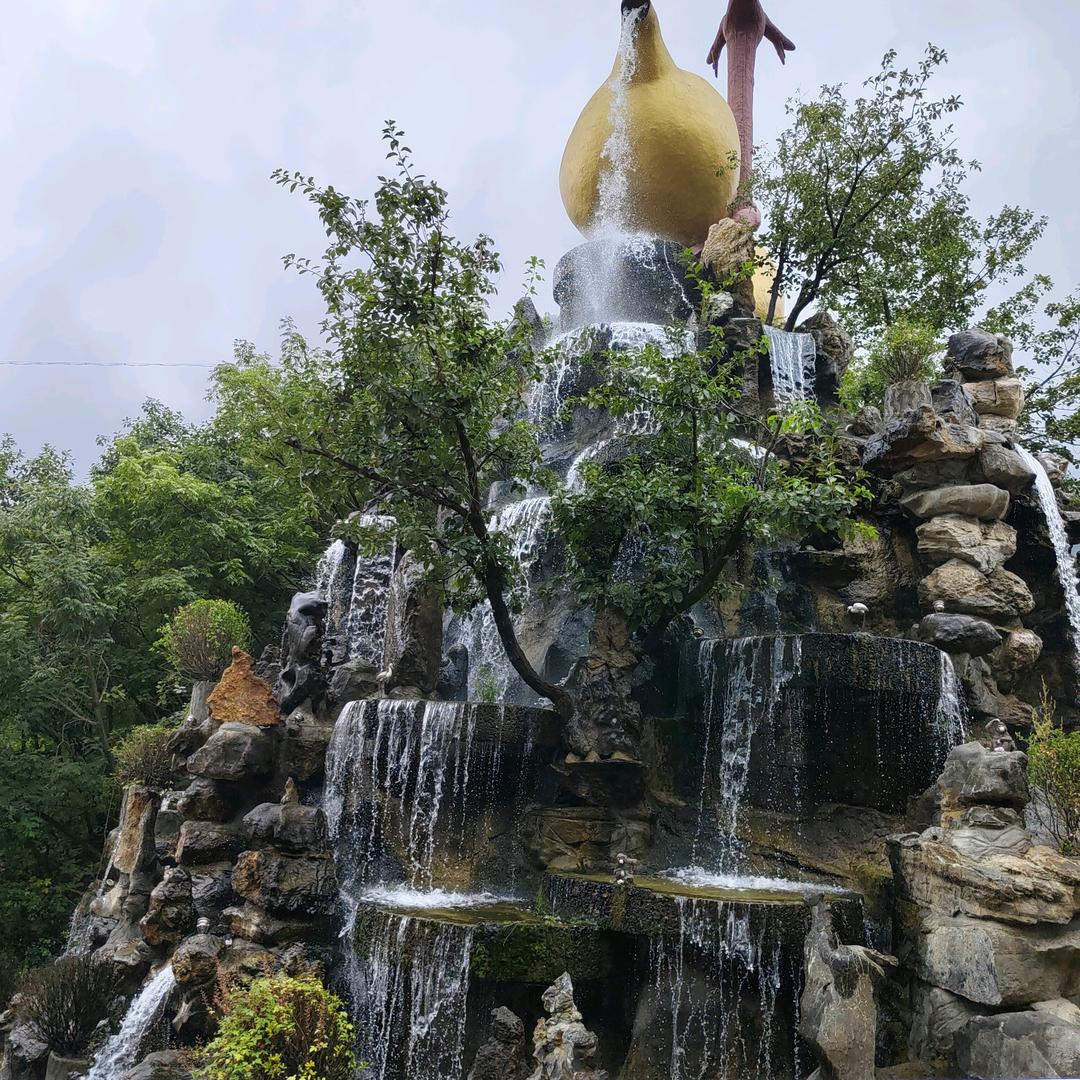 雪松《有关必回》