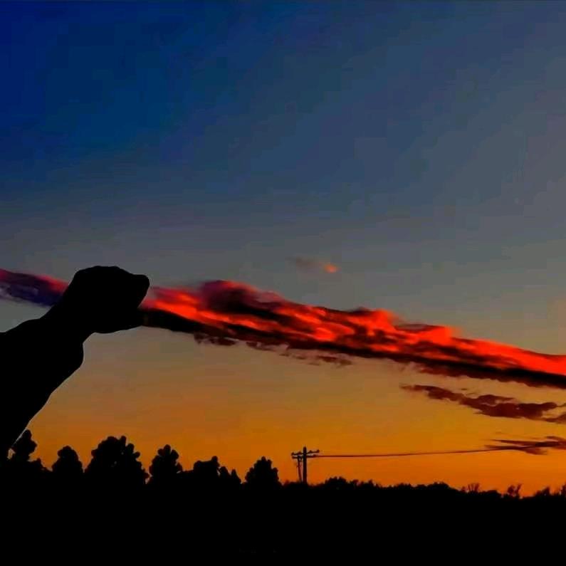 TCL空调兰陵经销商