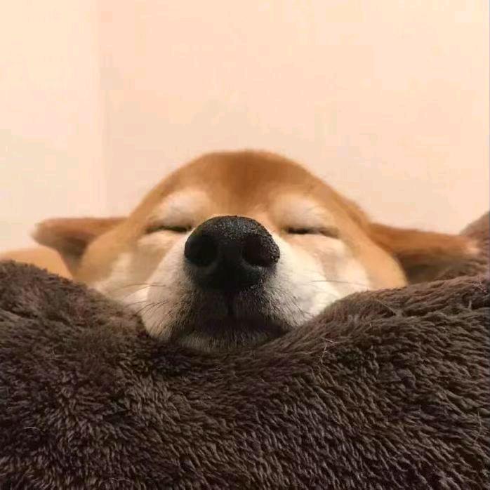 我是小茗同学