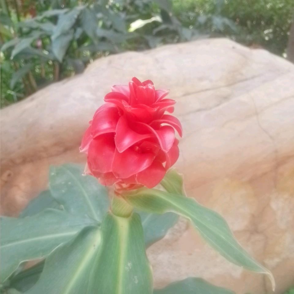 退出你的世界