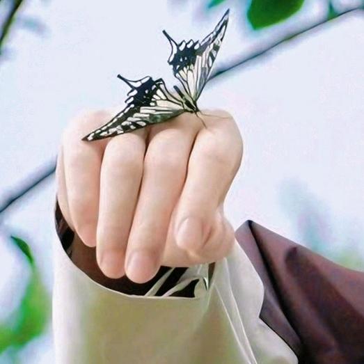 陪着孤单数星斗🥝