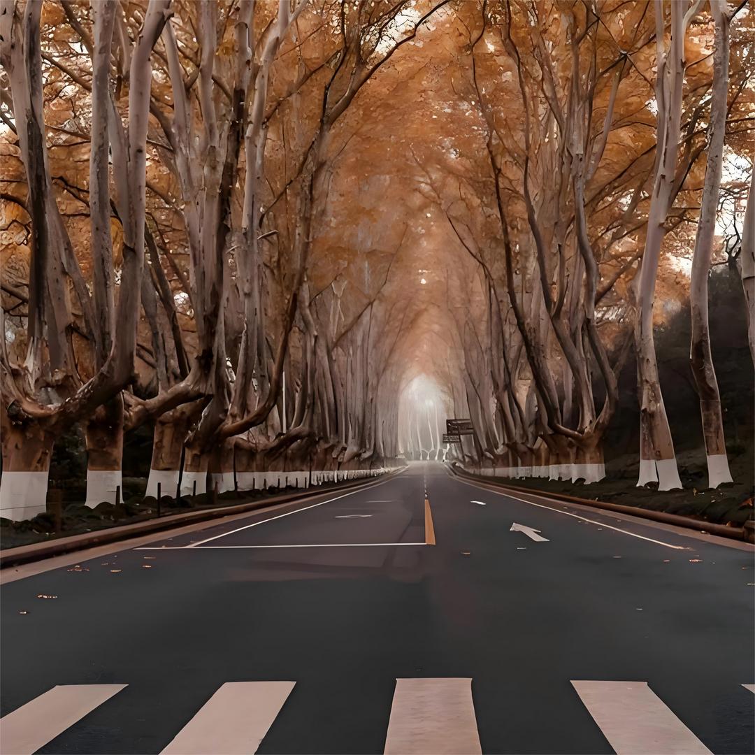 南京纯玩旅游（高端私家团）