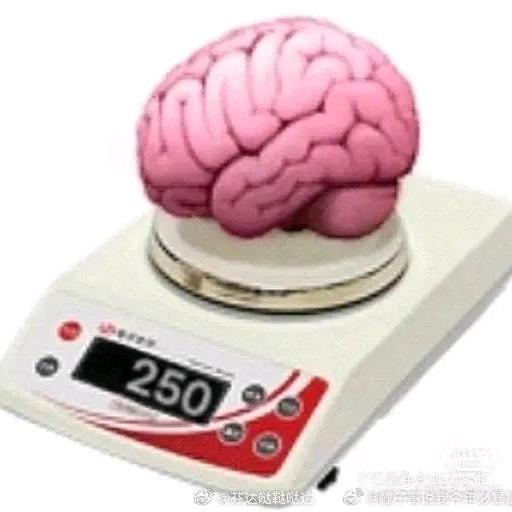 一天天的