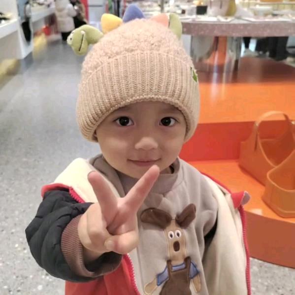 徐（花生，小麦专业跨区）