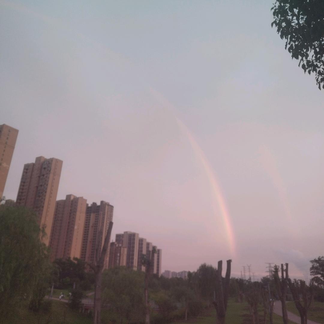 冬