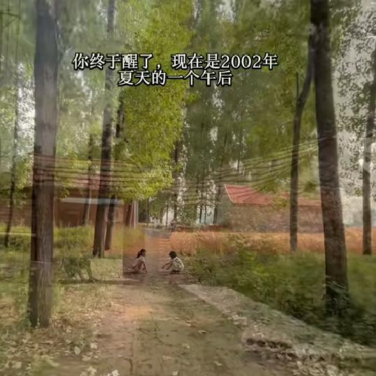 龙图腾