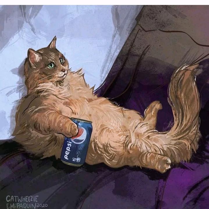 肥猫酱
