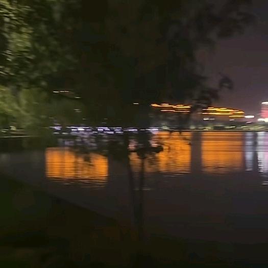 从此封心不再爱了