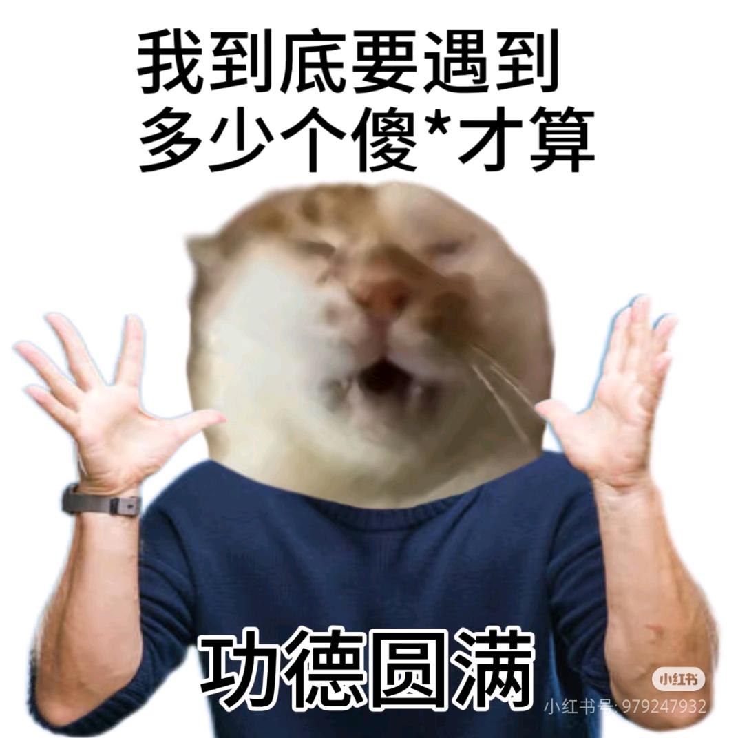 财神爷心尖上的小宝贝💰💰💰