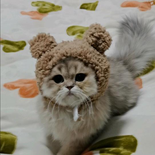 可乐很可爱