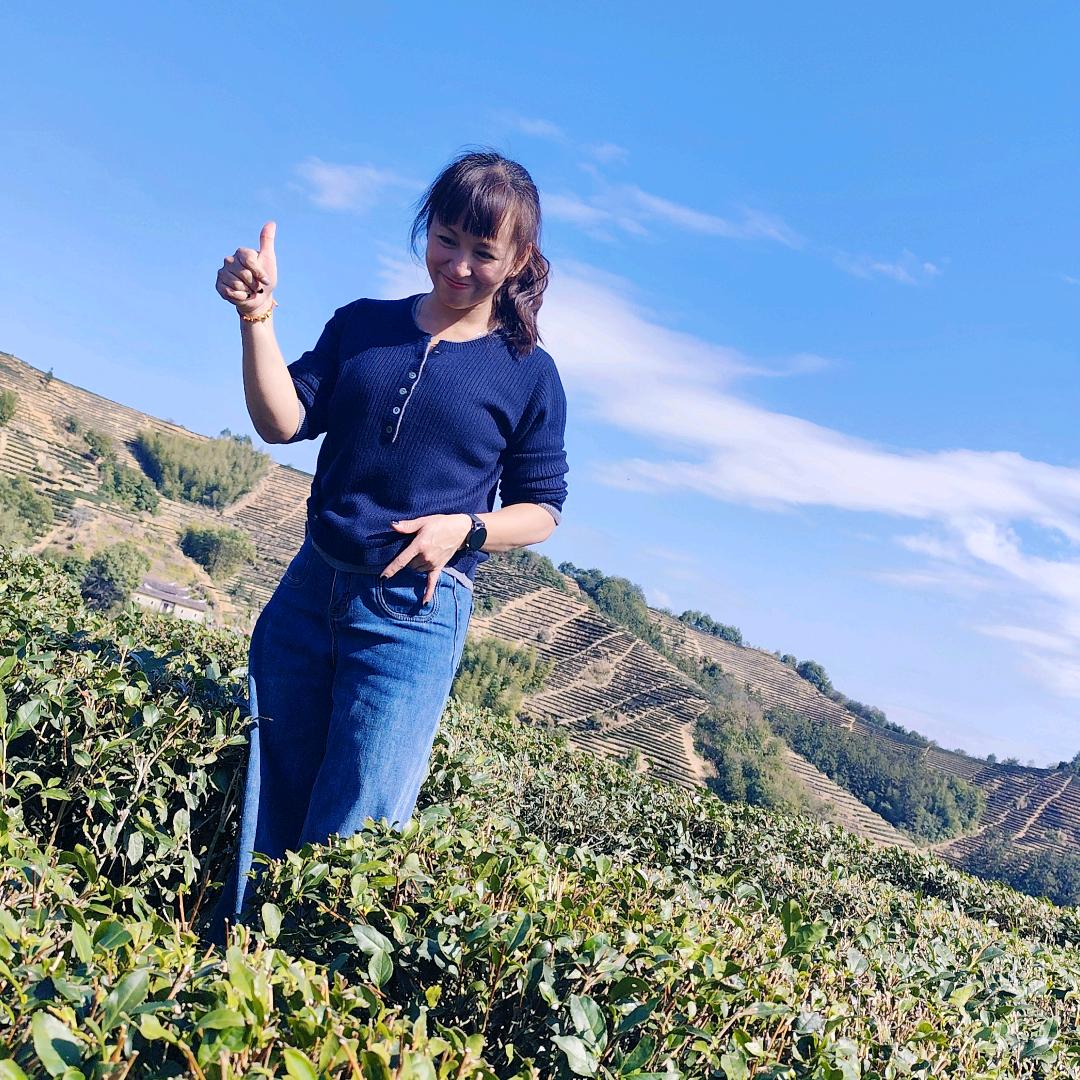 蝶影伊人—✍🏻（橱窗好物）