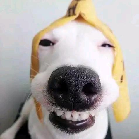🍐