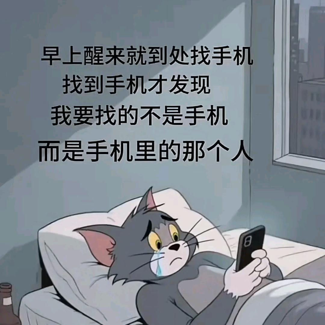 封心锁爱
