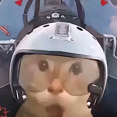鼠一属二（三角洲）