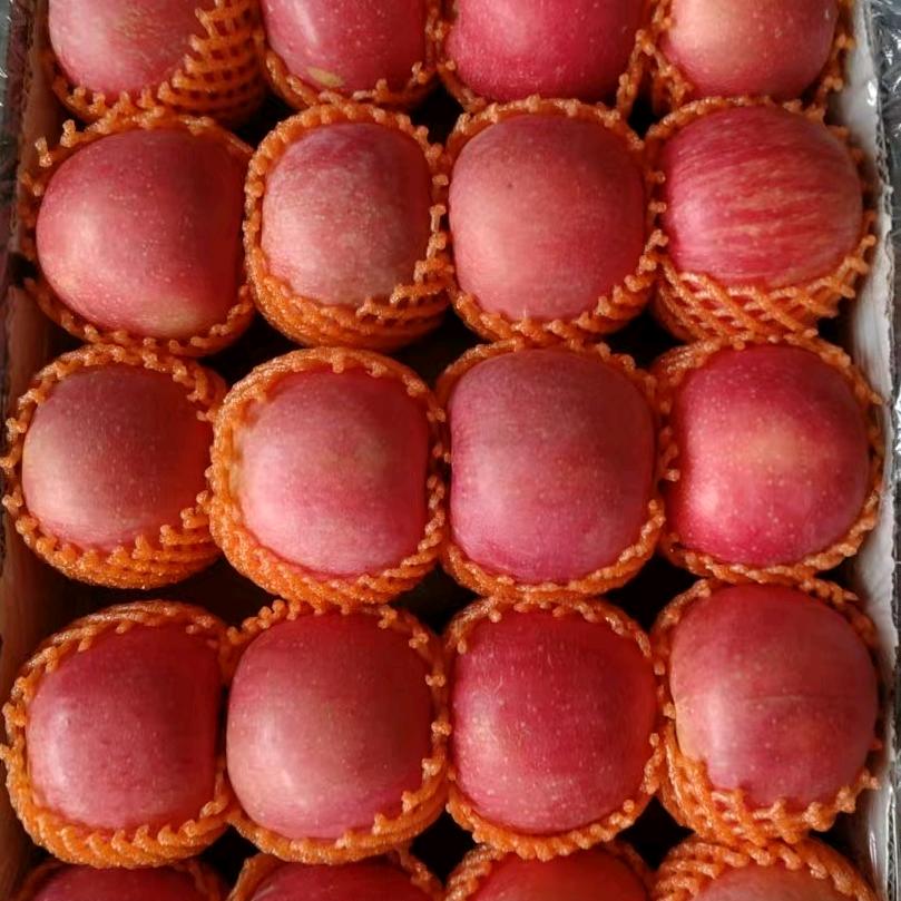 桃果梨姐🍑🍎🍐