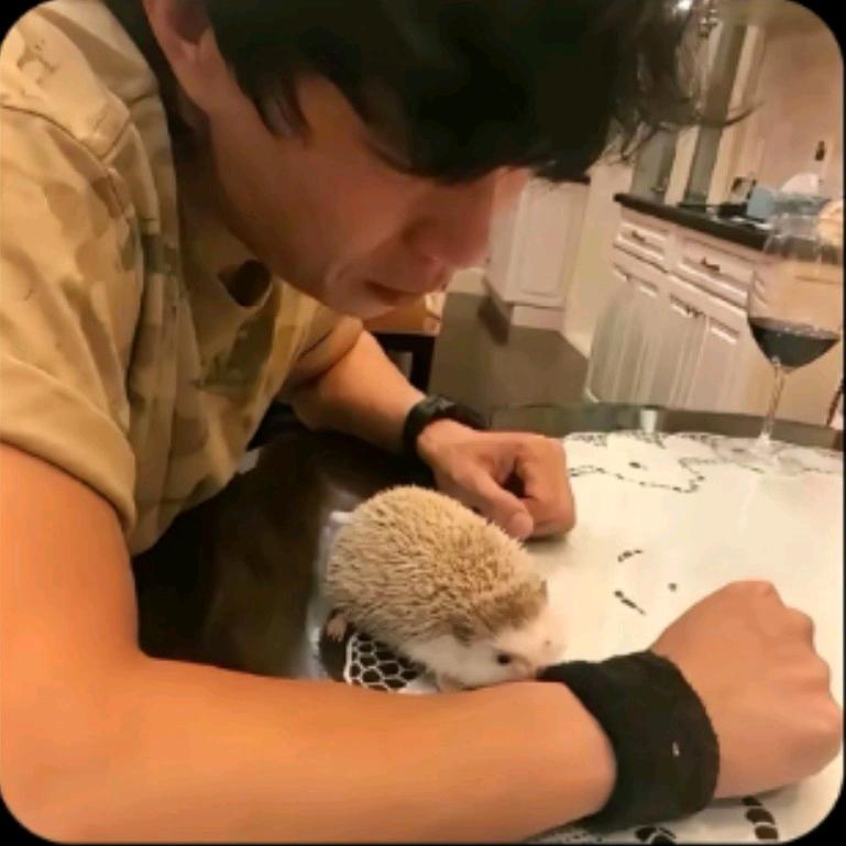 小行迹⭐