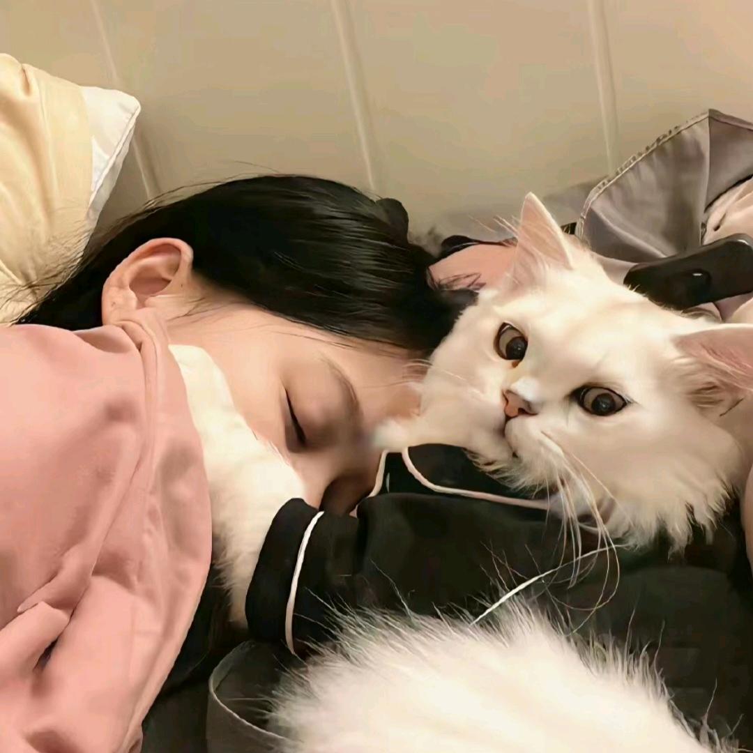 Qi