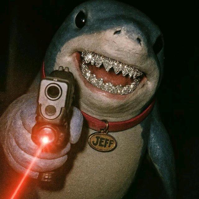 成功的大炮商案