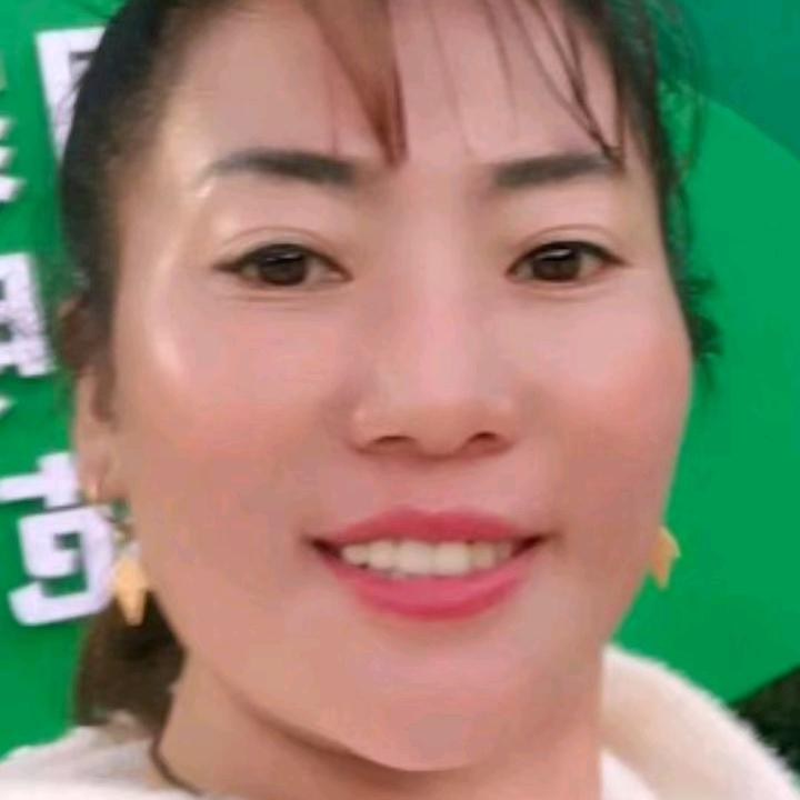燕子找搭档