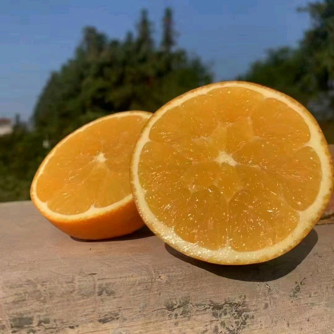 森系鲜果铺
