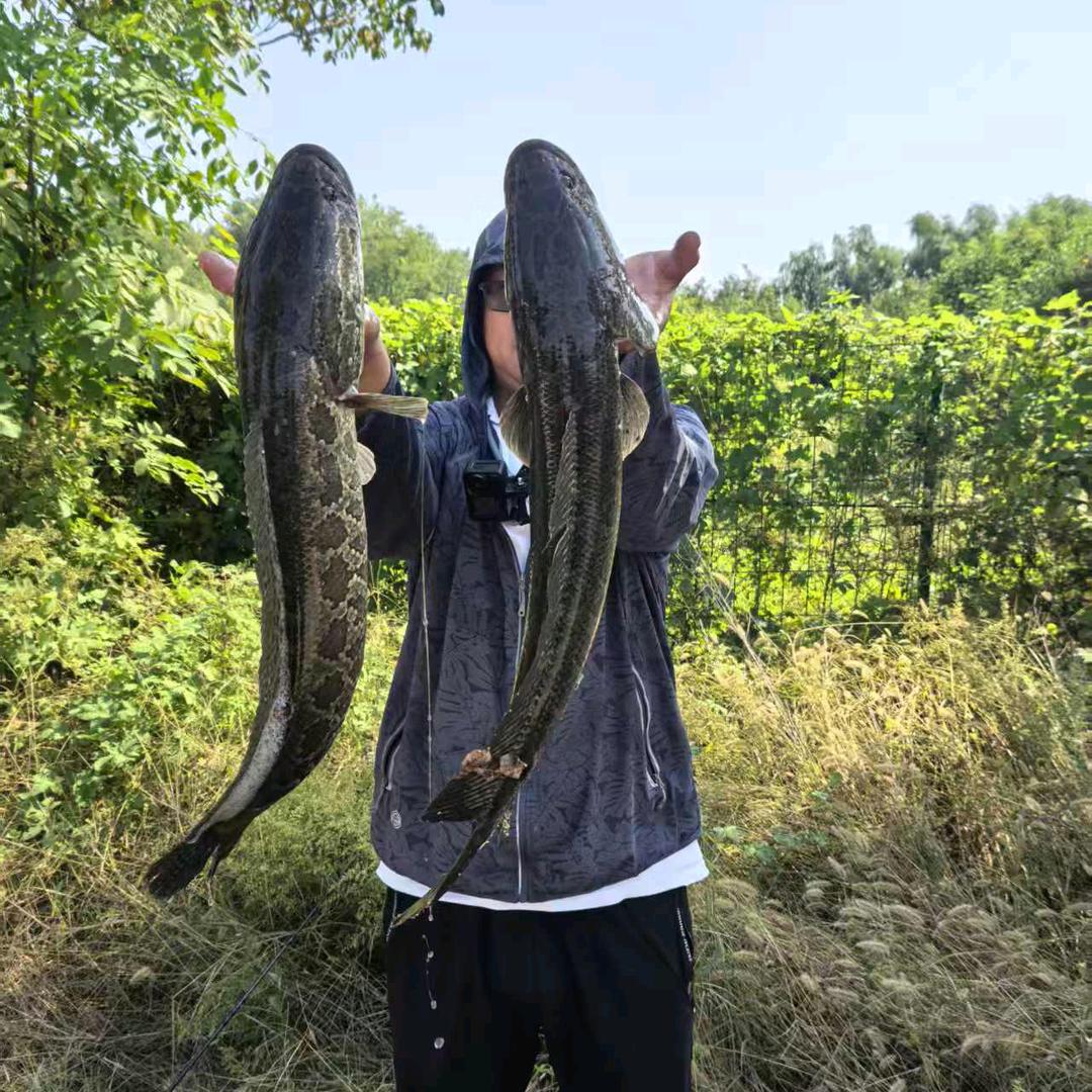 雷强小队长（泰安雷强打黑办）