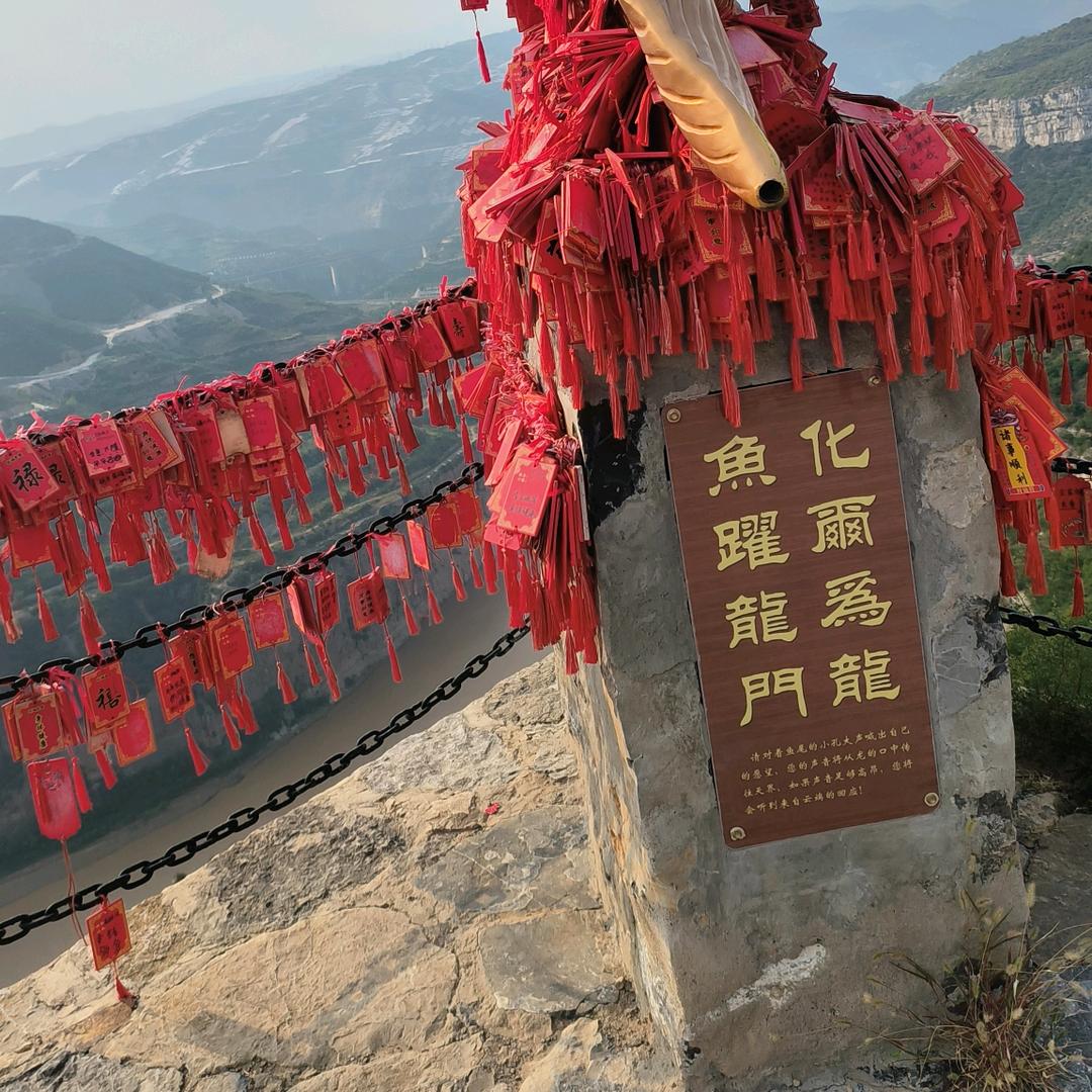 一壶浊酒丶醉红尘