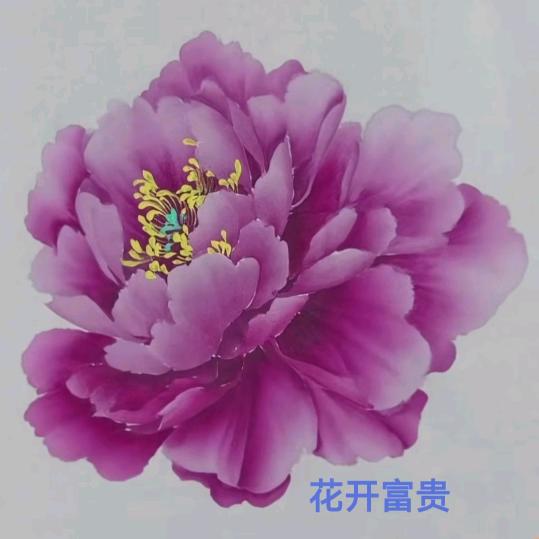 用户快快乐乐每一天56225289139