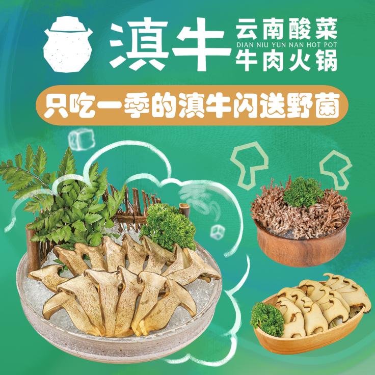 @滇牛哥🐮513