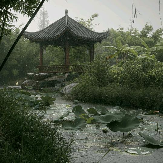 六一居士