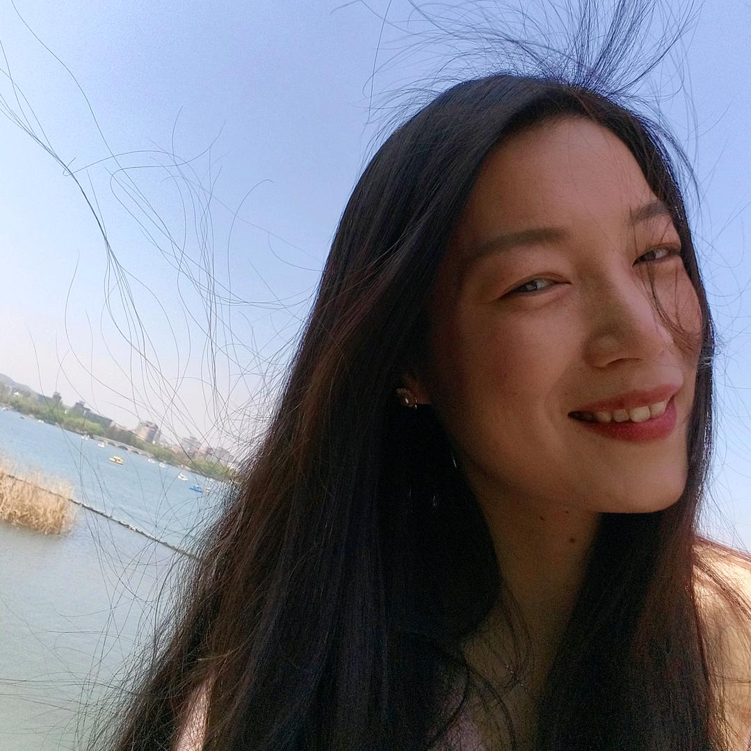 加菲猪