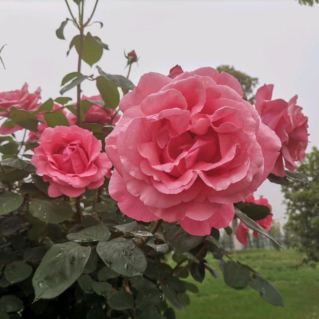 拉黑所有营销号