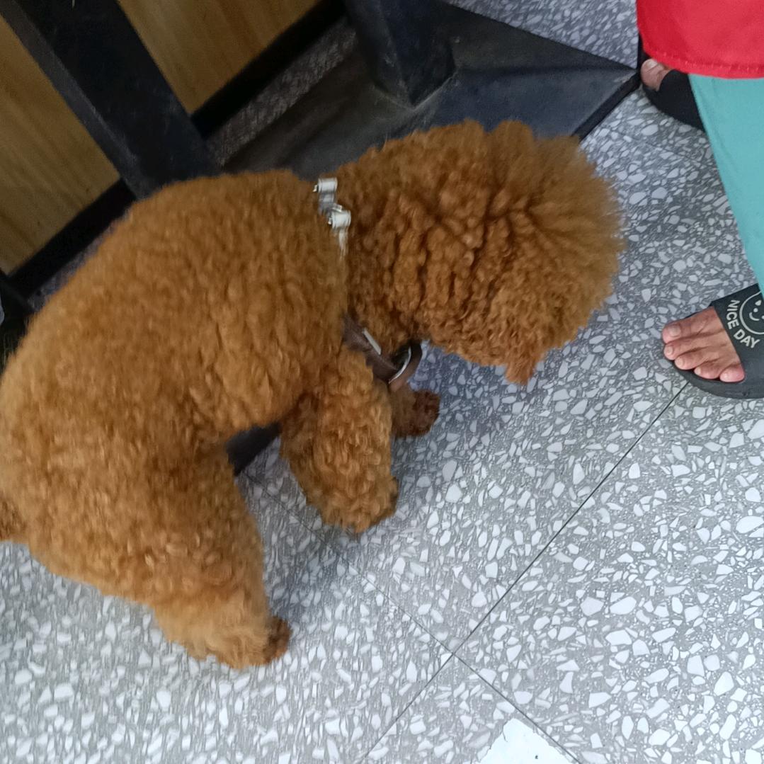 明明可以