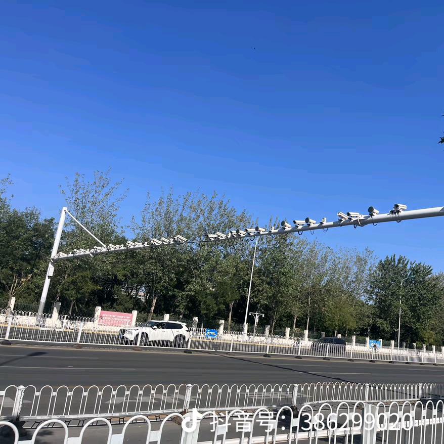 官方管理员小龙哥