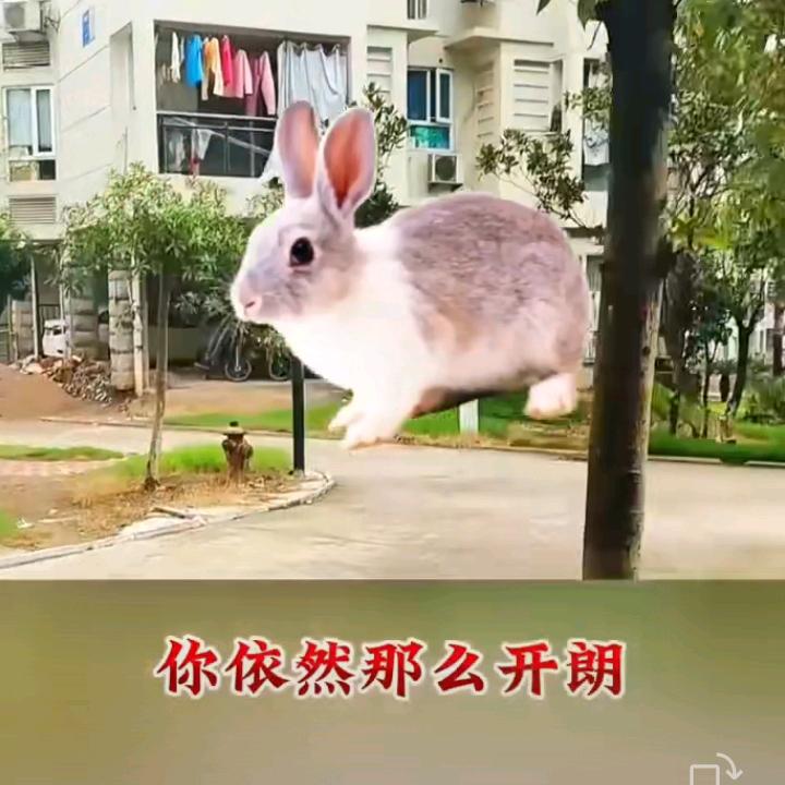 成功人士
