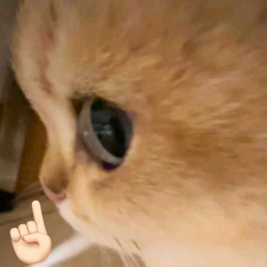 沐目