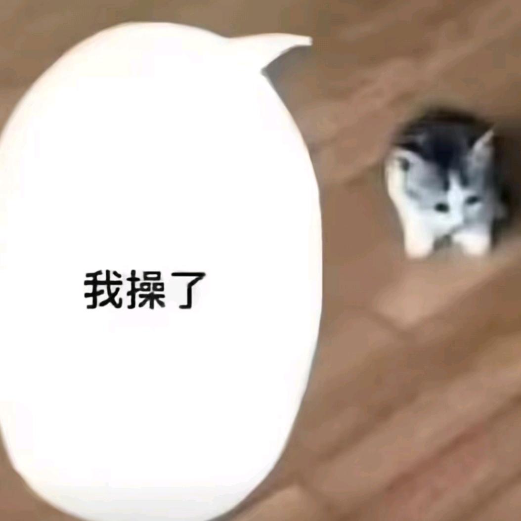 ￴    ￴    ￴    ￴