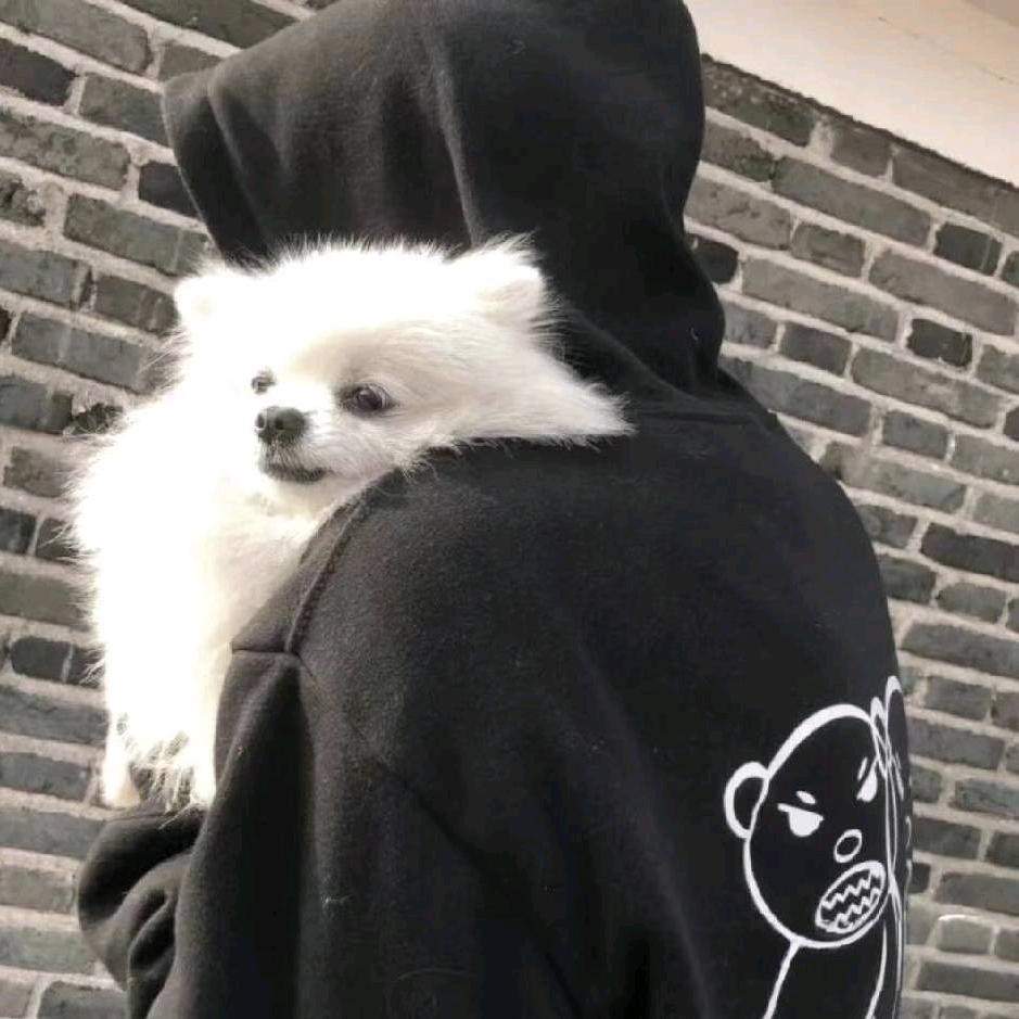 潇湘南笺