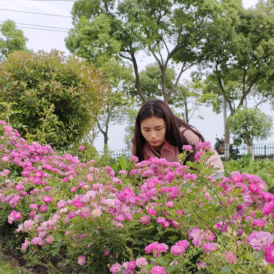 艳芬         （不爱回关）