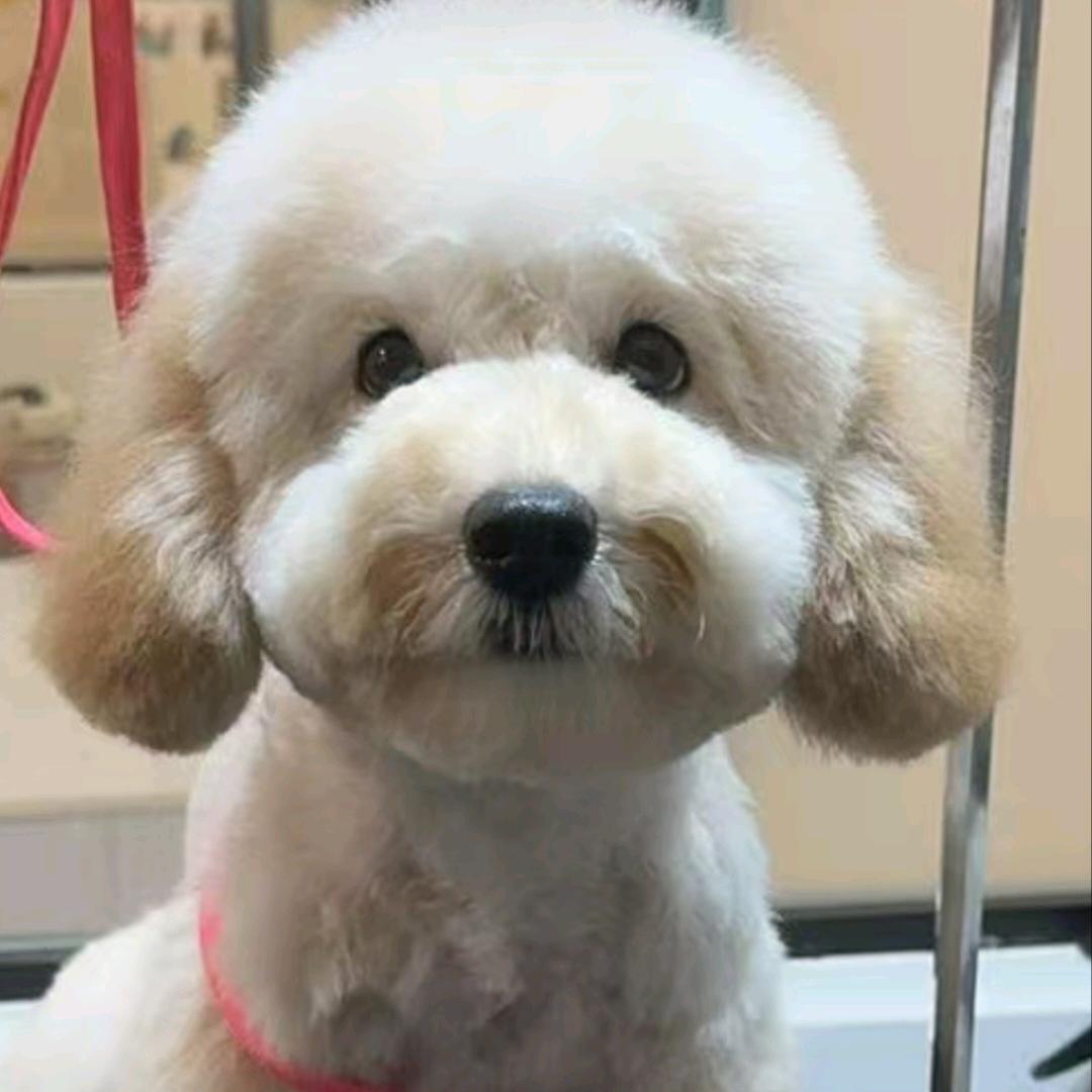 用户7519966607077时光不老