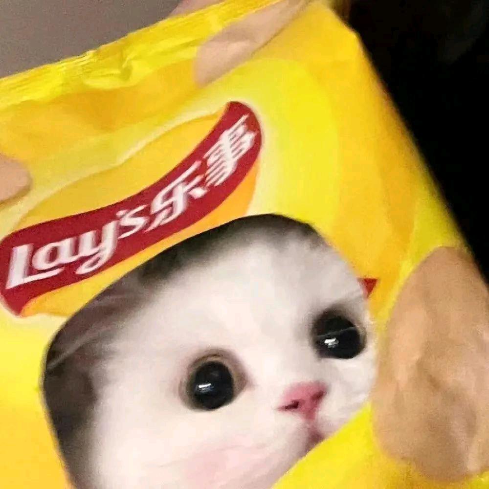 一只小无赖