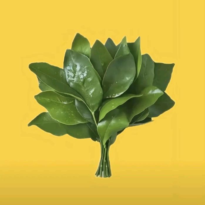 团购达人（墨染)