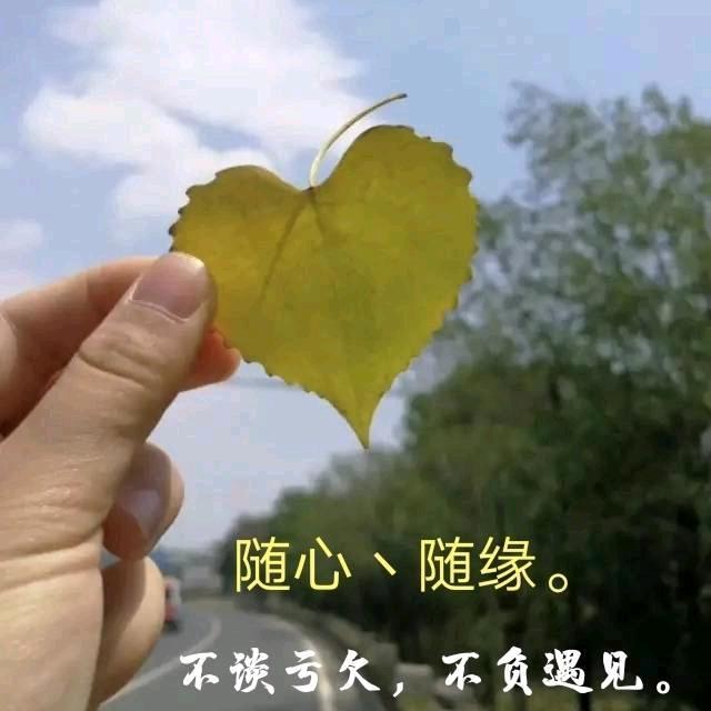 轩哥